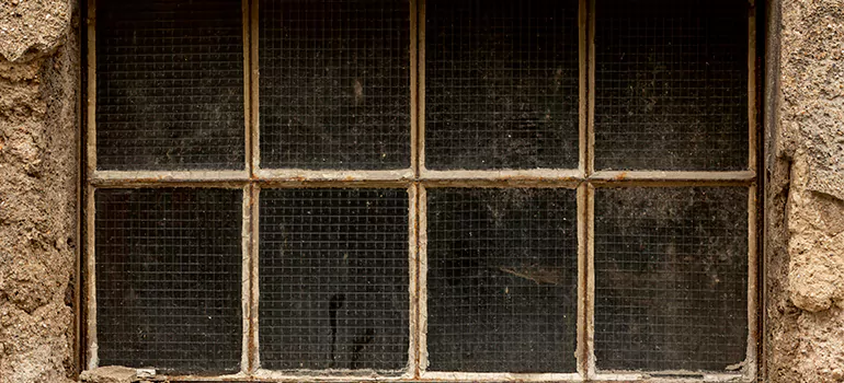 Traditional Double Front Doors in Palm Bay, FL