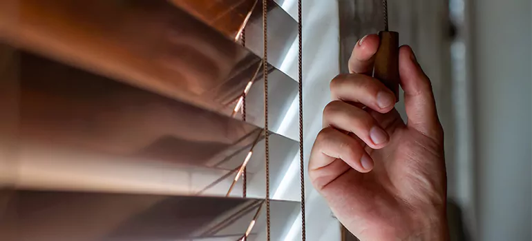 Double Roller Blinds in Palm Bay, FL