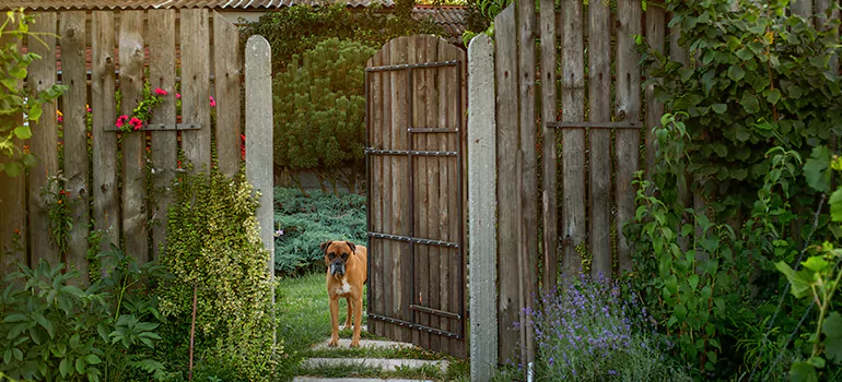Winter Garden Garage Door Repair in Palm Bay,[location field=state]