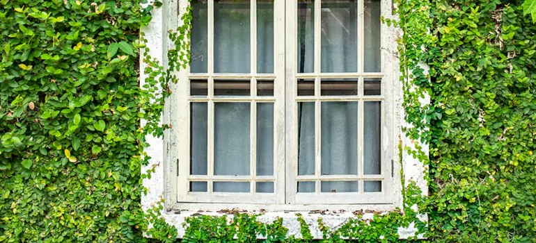 Garden Window Repair Near Me in Palm Bay, FL