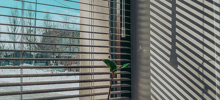 Commercial Window Blinds in Palm Bay, FL