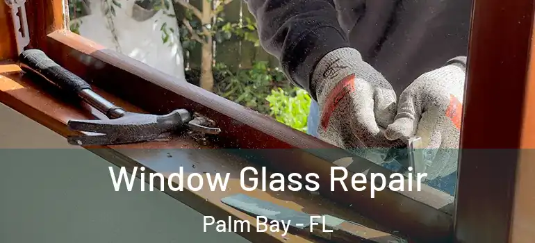  Window Glass Repair Palm Bay - FL
