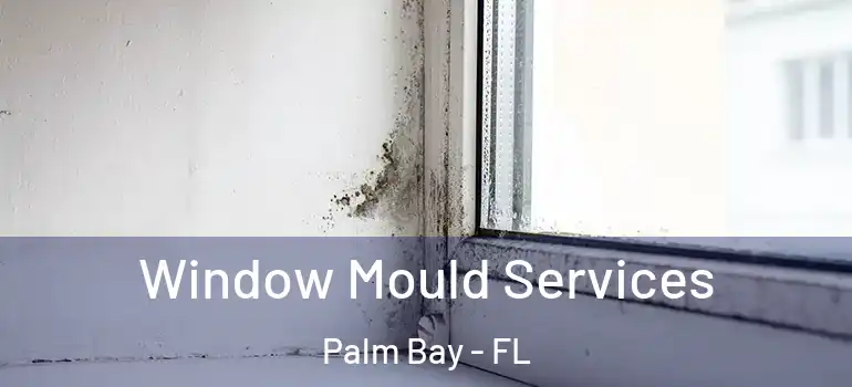 Window Mould Services Palm Bay - FL